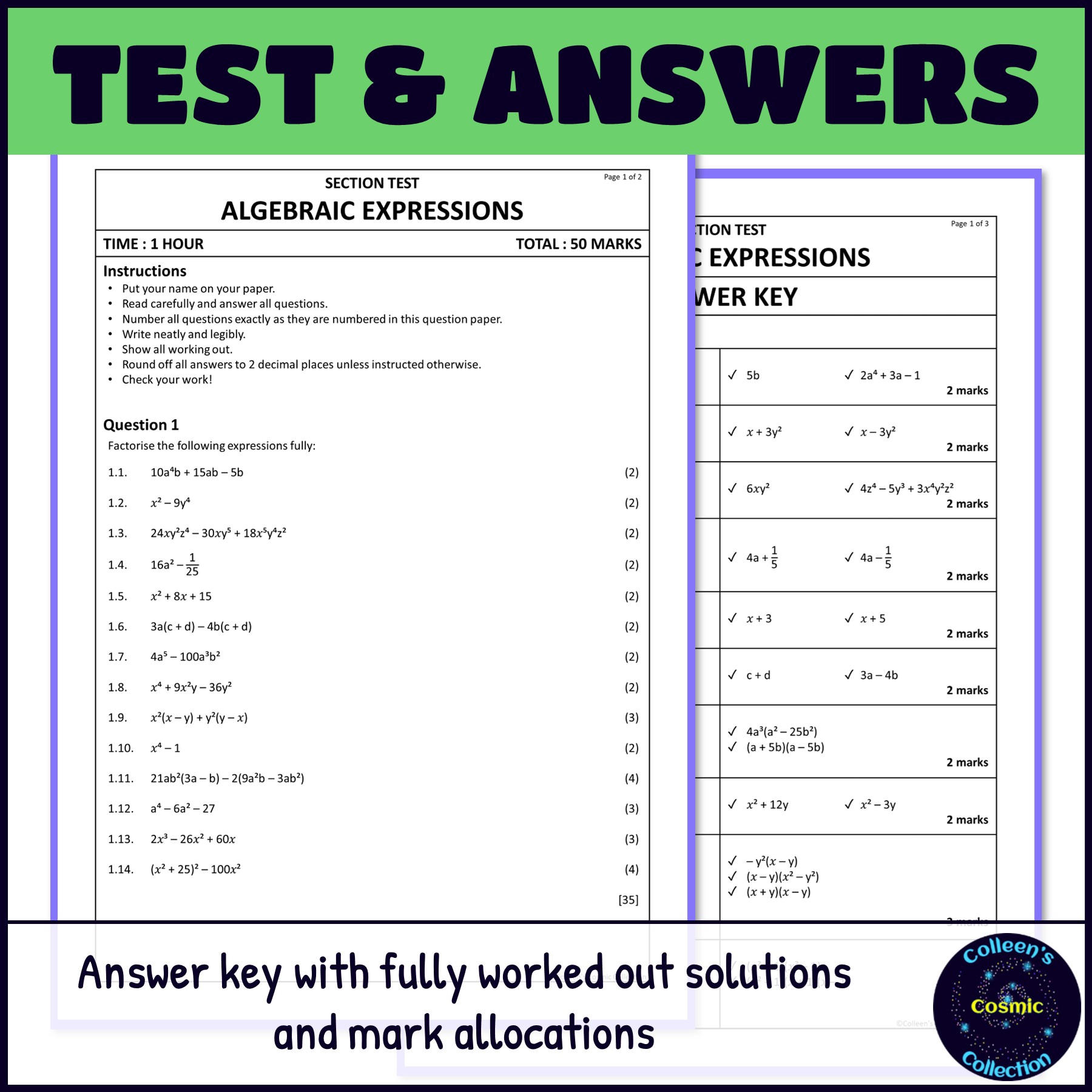 Grade 9 Algebraic Expressions and Factorisation Test question paper and answer key