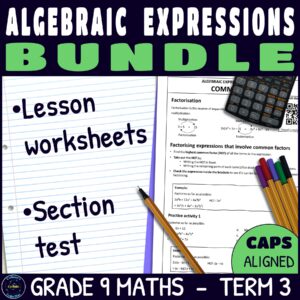 Algebraic Expressions Worksheets & Test Bundle